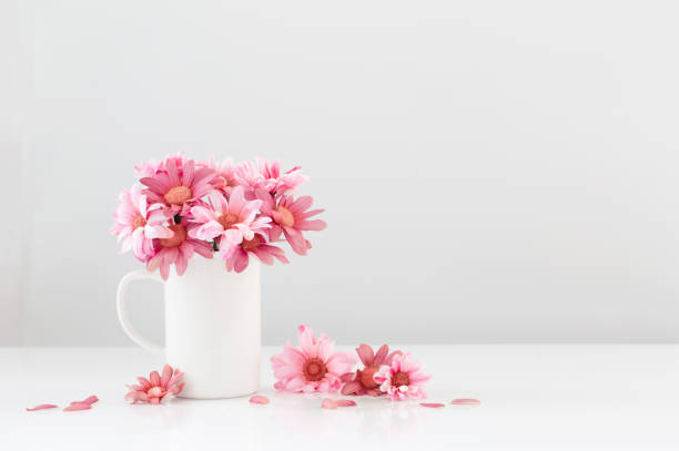 istock pink  chrysanthemums in white cup on white background 1480714933