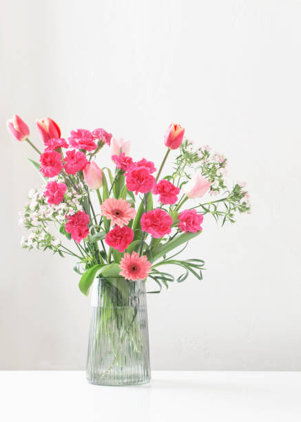 pink spring flowers in glass modern vase  on white background