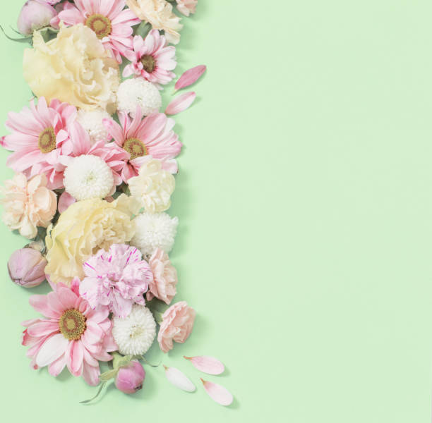 istock frame of flowers on green background 1480714950