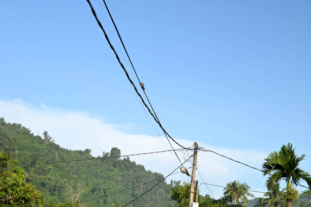 istock Squirrels crossed on power lines 1480716161