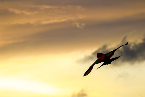 Kite Flying By Sea Against Sky During Sunset