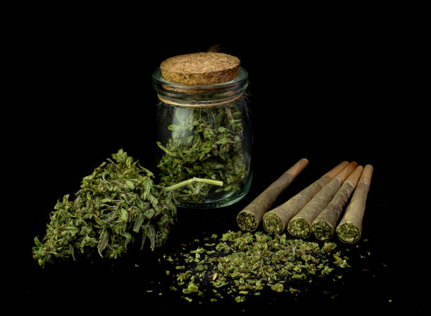carta conica pre-arrotolata per giunti di marijuana con cannabis indica - intossicazione da sostanze foto e immagini stock