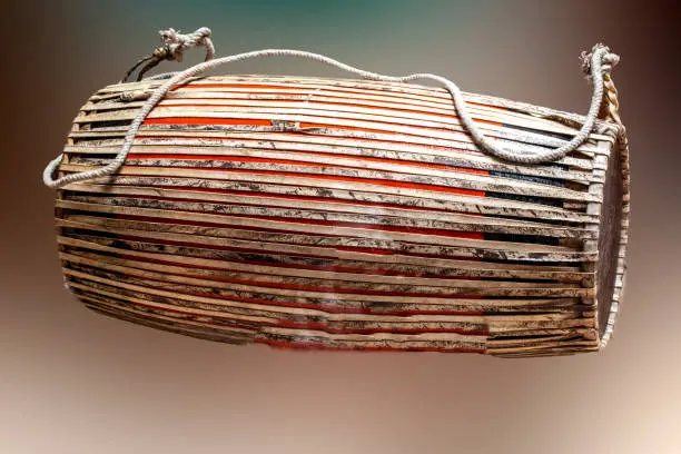 Dhol is percussion instrument made of wood , brass, leather, cotton  and metal. This folk instrument widely used in Bihu - Bhoga bihu or Rongali bihu the Assamese new year celebrations in the month of April.