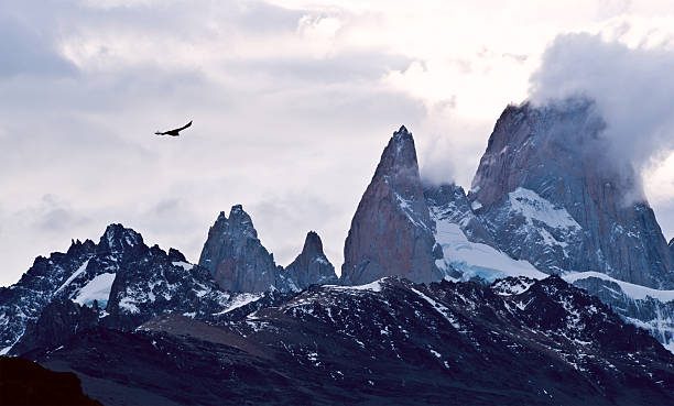 istock Mount Fitz Roy in Argentina Patagonia 148072194