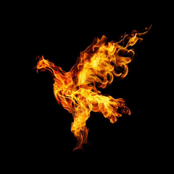 istock burning fiery bird flies on a black background 1480725670