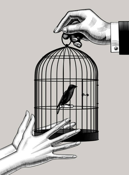 istock Male hand passes the bird cage into female hands 1480730592
