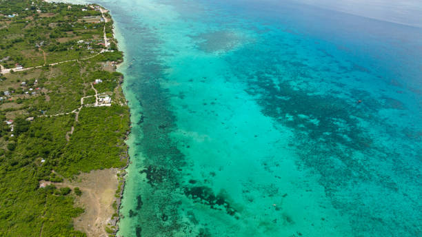 istock Aerial view of Tropical beach. 1480733502