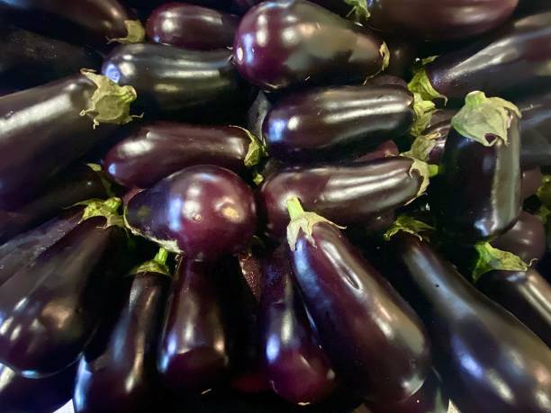istock Group of Eggplant Aubergine Vegetables 1480735291