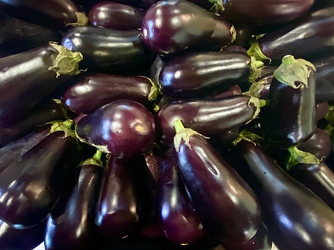 Horizontal close up of group of fresh harvested organic farm purple whole eggplants also called aubergine or brinjal in farmers market stall Australia