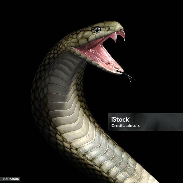 Víbora Cobra Cobra - Fotografias de stock e mais imagens de Cobra - Cobra, Dente de presa, Naja