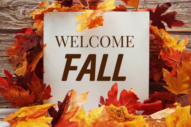 istock Welcome Fall text message with autumn maple leaves decoration on wooden background 1480738611