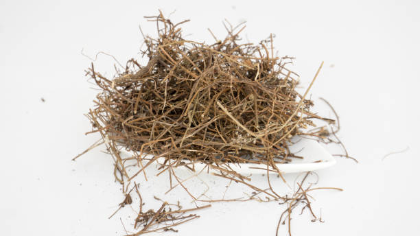 istock Dried Skunk vine/Ayurvedic Plants 1480740509