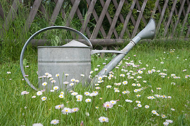 istock Metal watering can in spring garden 148074137