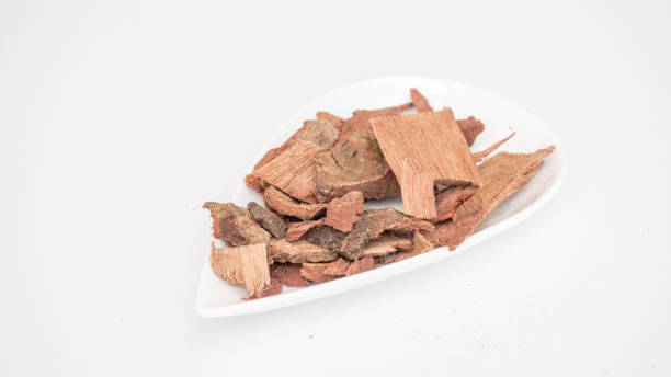 istock Cassia Fistula, Golden Shower tree bark 1480741927