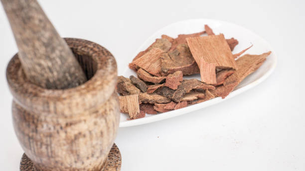 istock Cassia Fistula, Golden Shower tree bark 1480742053