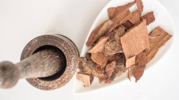 istock Cassia Fistula, Golden Shower tree bark 1480742296