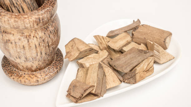 istock Vitex negundo/ Chinese chaste tree ayurvedic plant bark 1480742809