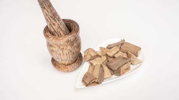 istock Vitex negundo/ Chinese chaste tree ayurvedic plant bark 1480743036
