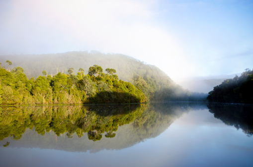 Early morning Pieman river reflections, Tarkine wilderness, Tasmania, Australia. The white specks on the water are lumps of snow.
