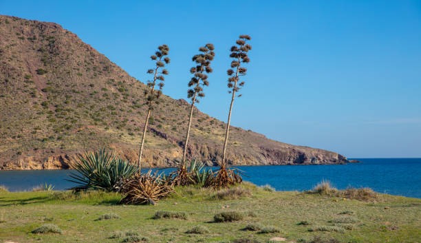 Cabo de gata- Andalusian beach in Spain