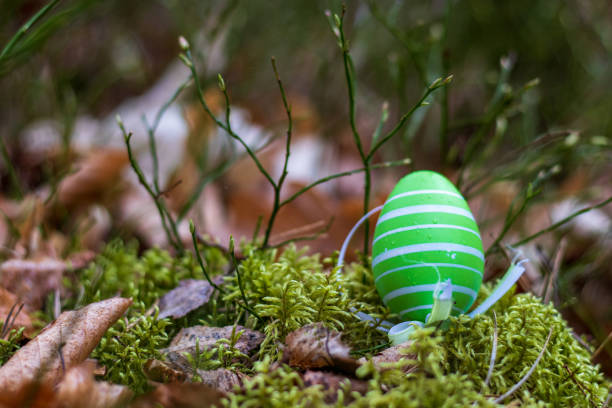 Green eastereggs on moss