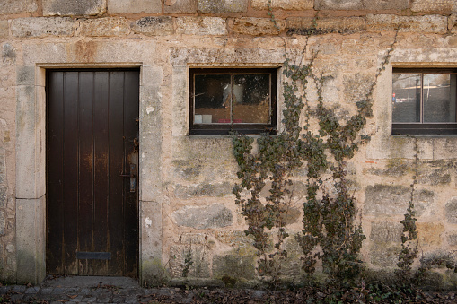 Dark brown rustic door with window and climbing plant in an antique stone wall at the old town of Rothenburg ob der Tauber, Bavaria