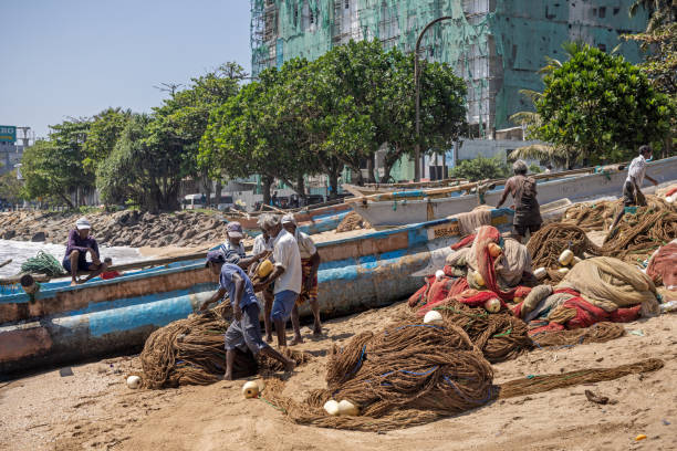 Galle, Sri Lanka - February 11th 2023:  People cleaning fishing nets on the beach outside Galle fish market as a part of the traditional fishing industry