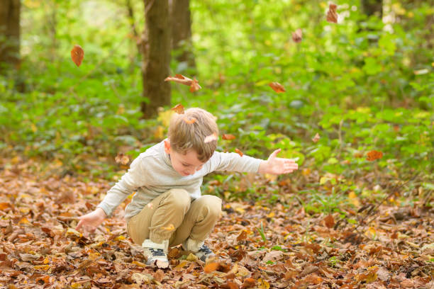 istock Little happy boy throwing leaves 1480758756