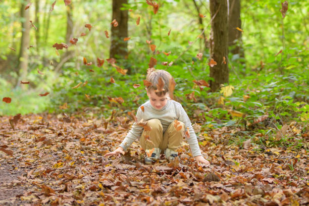 istock Little happy boy throwing leaves 1480758850