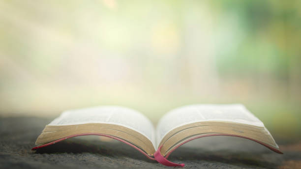 istock An open Bible is placed on a wooden table. There is a light down against a green background, a solitary concept with a calm atmosphere. 1480762595