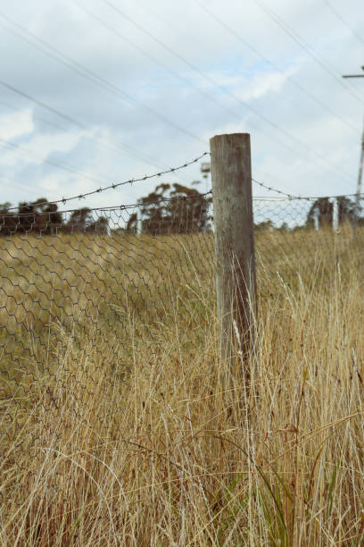 istock fence post in field of long dry grass 1480783375