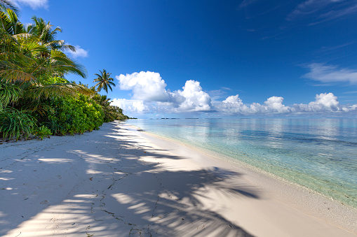 heaven on earth, white sand beach on maldives islands, indian ocean islands.