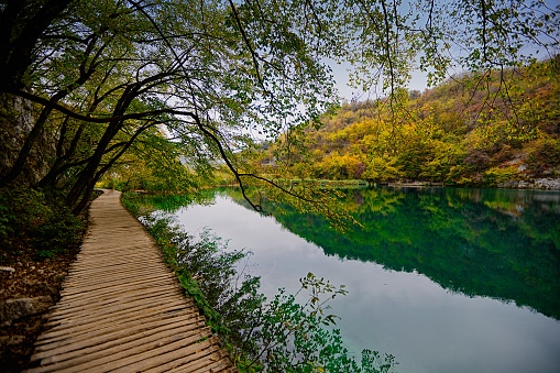 Forest around a lake. Area of France, South Brittany. Very green area with lush vegetation. Sunny day. Reflection of the vegetation and the sky on the water.