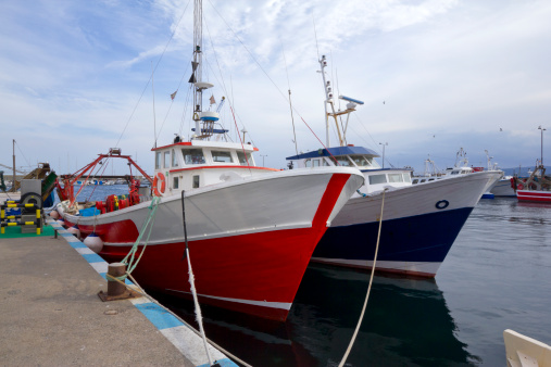 fishing boats moored in the port of Palamos (Costa Brava, Catalonia, Spain)