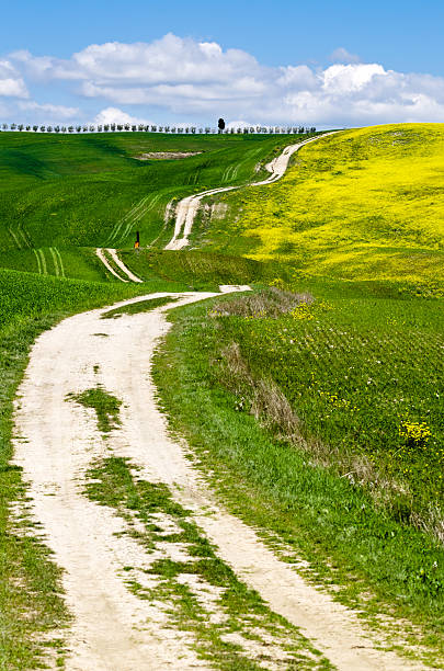 istock Road in the countryside 148079526