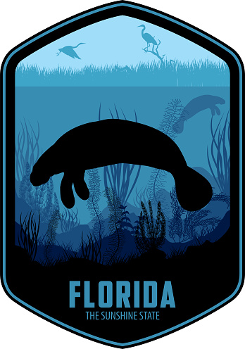 Florida vector label with Manatee and herons in swamp wetland sea coast