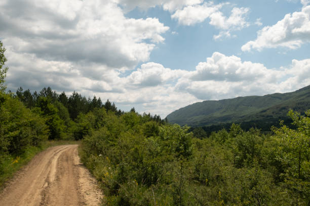 istock Dirt road in the mountains in summer 1480802691