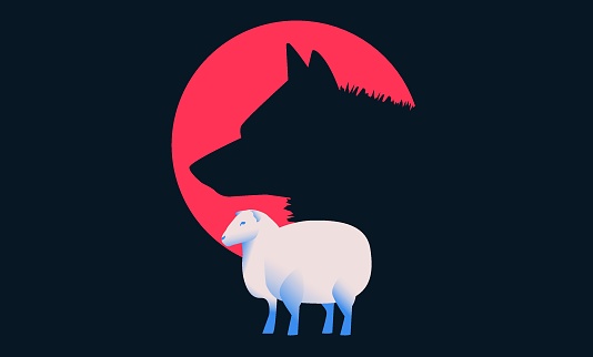 Sheep with wolf shadow.  Fact checking and fake news concept. Vector illustration.