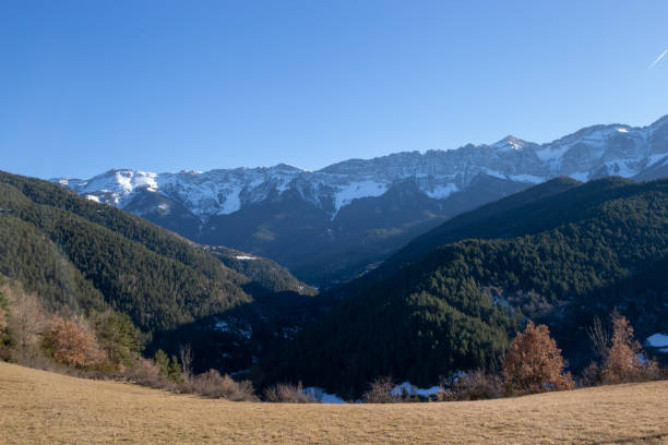 istock Sunset in some snowy mountains surrounded by pine forests 1480807977