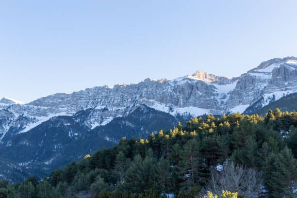 istock Sunset in some snowy mountains surrounded by pine forests 1480808029