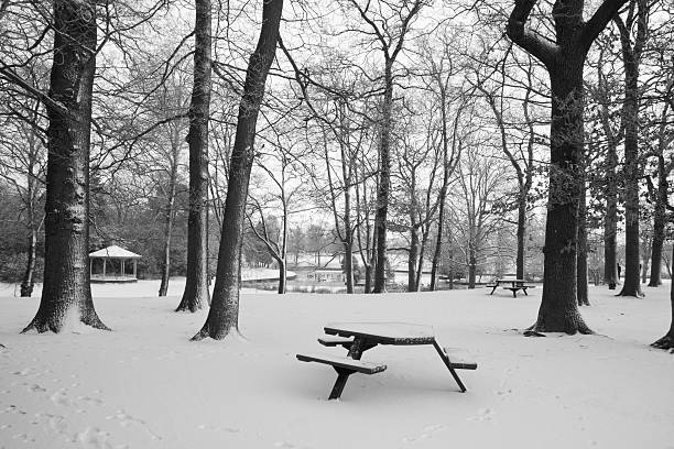 park snow scene stock photo