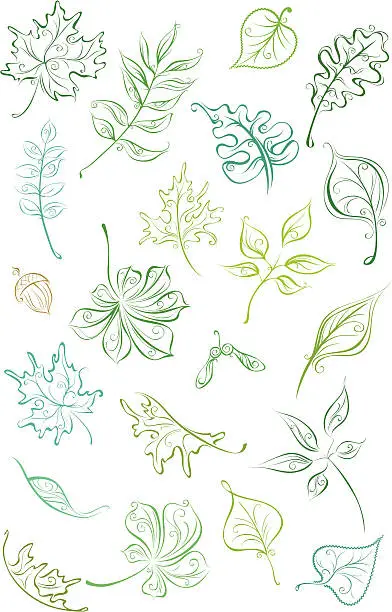 Vector illustration of Outline leaves