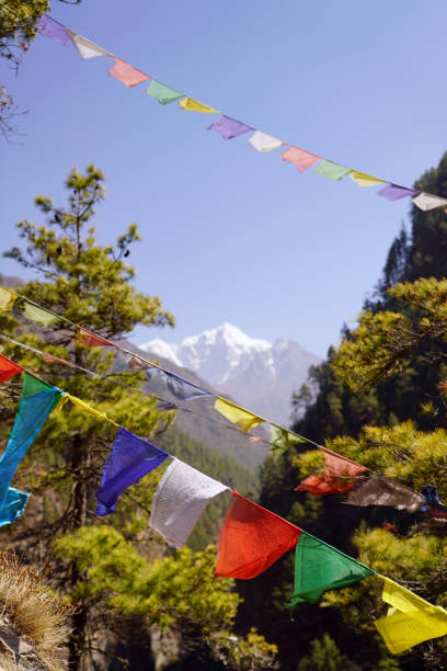 istock Prayer Flags in the Himalayas 1480812889