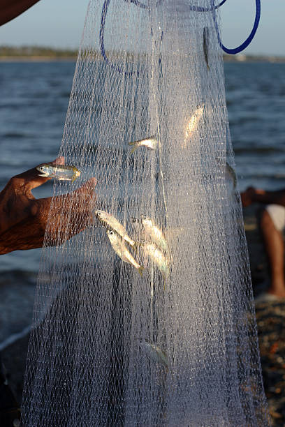 istock bait fishing 148081613