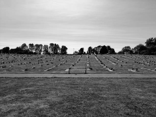This black and white photo captures a serene cemetery landscape, featuring a solitary bench surrounded by tombstones. The monochromatic tones evoke a timeless, reflective atmosphere.