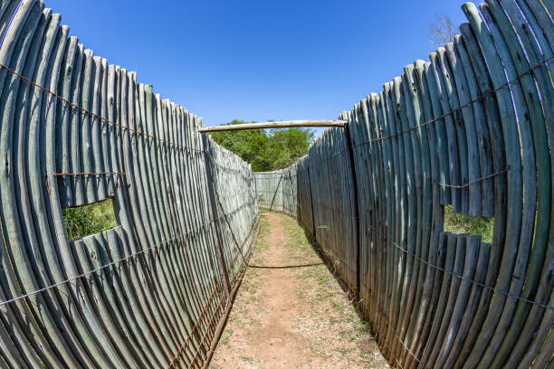istock Wildlife Walking Path Protection Fence Poles 1480816346