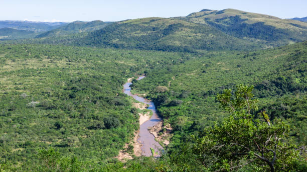 istock Wildlife Overlooking River Bush Landscape 1480816349