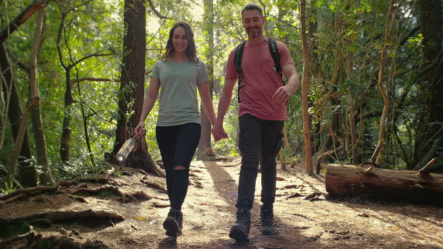 Hiking, nature and couple holding hands walking in forest, woods and mountain for exercise, wellness and cardio. Fitness, travel and happy man and woman on hike, trekking and sport adventure outdoors