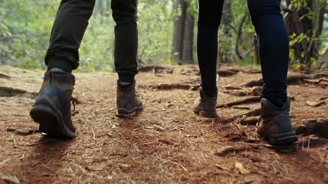 Hiking, nature and feet of couple walking in forest, woods and mountain trail for exercise, wellness and cardio. Fitness, sports and shoes of people on hike, trekking and adventure together outdoors