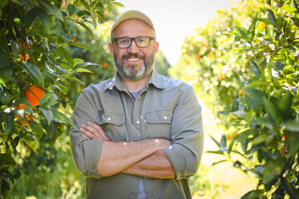 istock farmer picking ripe oranges in the garden 1480821896